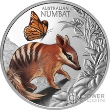 BABY NUMBAT Cute and Cuddly 1 oz moneta d'argento 1 $ Niue 2025