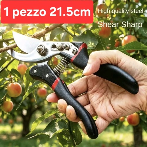 Truncation 5cm pruning - truncation,