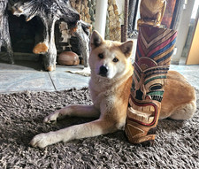 Maschera Tiki Decorazione