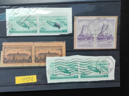 Usa lotto 1956 coppie - lotto,