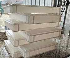 Cassetta panetti impasto Varie misure Service sovrapponibile pizza Giganplast