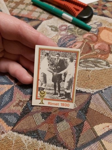 Figurina panini nuova mondiali - panini,