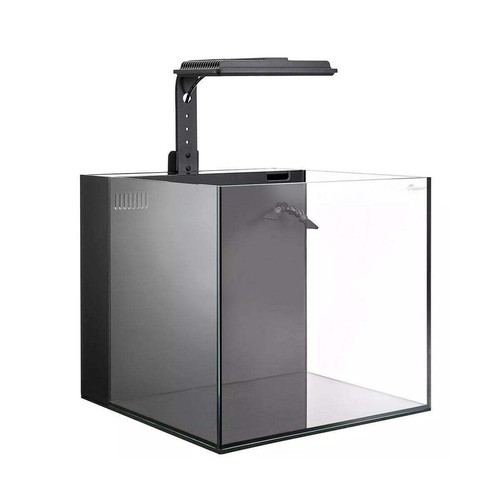 Maxspect dadi aio - aio, nano