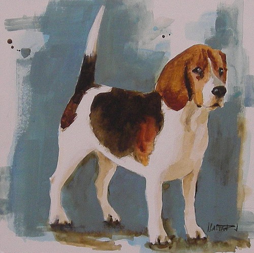 Acuarela pintura perro - *,