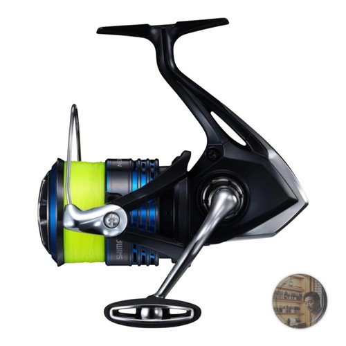 Mulinello spinning shimano - spinning,