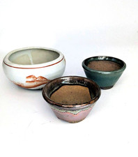 raro set di 3 vasi bonsai