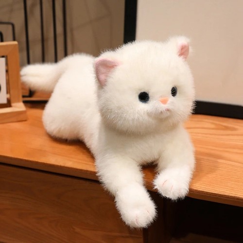 Peluche gatto gattino - , bianco