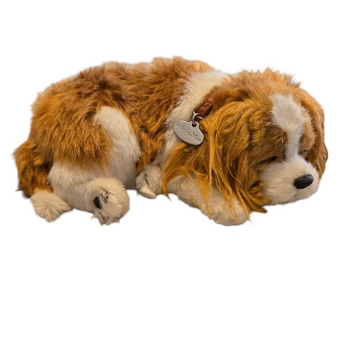 Petzzz pet cavalier king - pet,