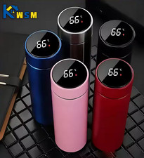 🧊 Thermos Smart 500 ml con
