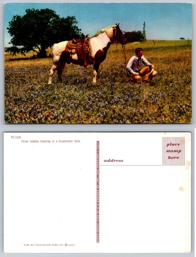 1951 texas cowboy paint - texas, &