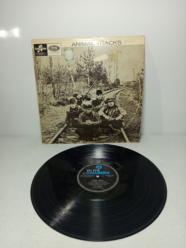 The animals animal - animals,