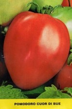 250 SEMI DI POMODORO CUOR DI