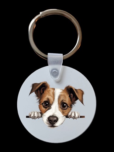 Peeking peeping jack russell - peeping,