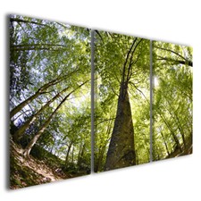 Quadri moderni paesaggi natura