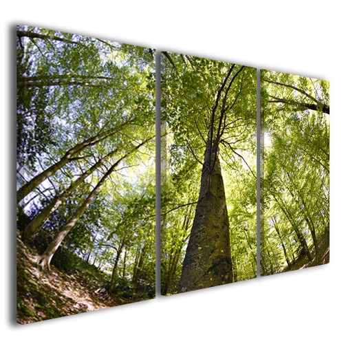Quadri moderni paesaggi - , natura