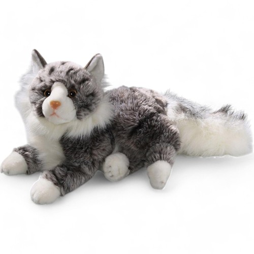 Carl dick gatto maine coon - carl,