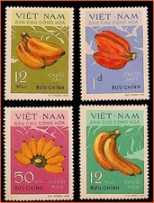 Vietnam banane vietnamite - vietnam:, /