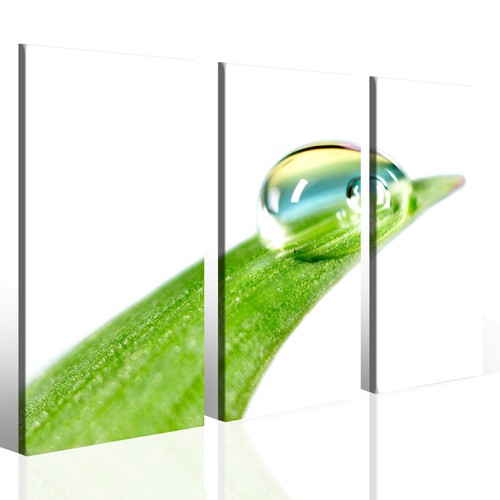 Quadri moderni drop foliage - drop, of