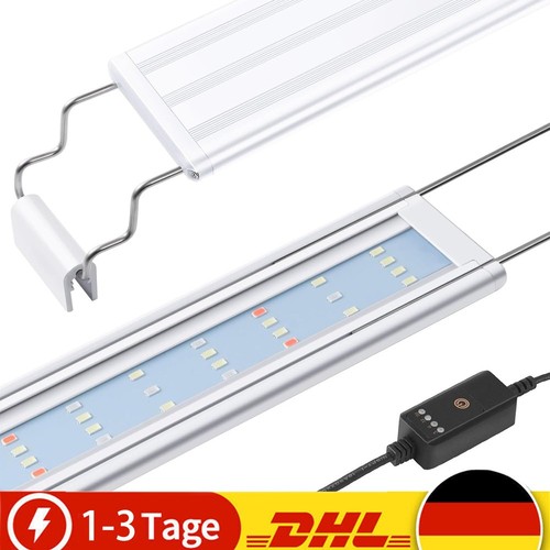 Abs led rgb - rgb, pesci