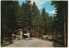 FORESTA DI CAMPIGNA - FORLI' -