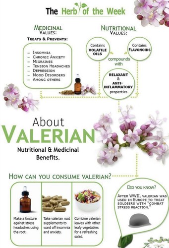 150 semi valeriana pianta - di,