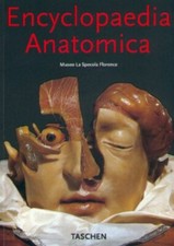 Encyclopedia anatomica museo - anatomica:,