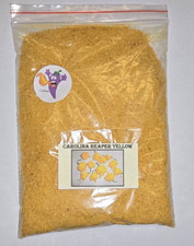 Carolina reaper giallo yellow - reaper,