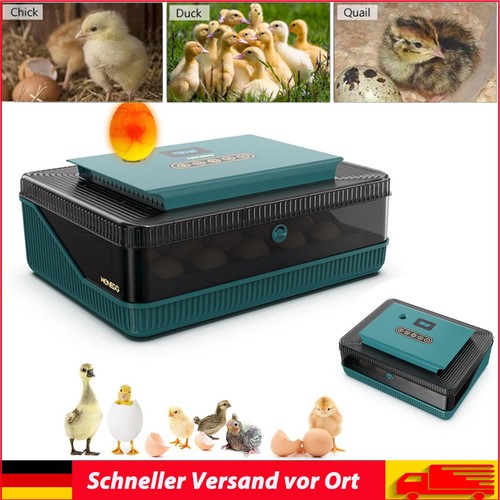 Incubatrice uova - 25,