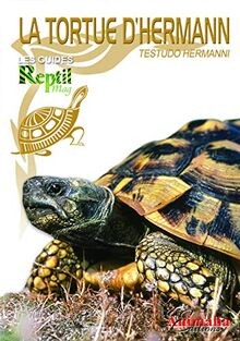 Tortue dhermann testudo - dhermann,