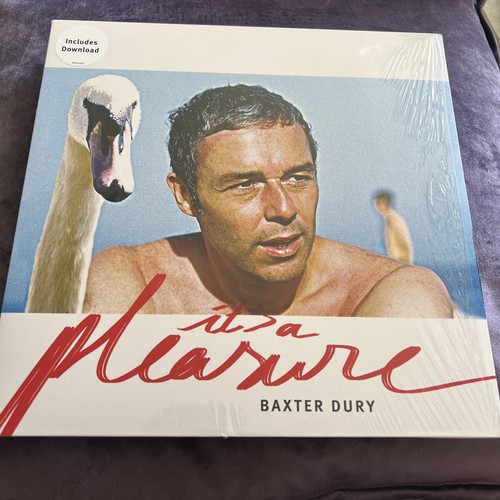 Baxter dury a - it's, pleasure