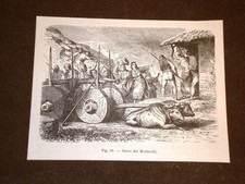 Invenzione Antico carro dei Morlacchi Gruppo dei Valacchi Alpi Dinariche Croazia