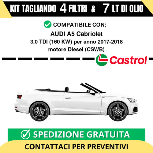 Tagliando per audi - tagliando,
