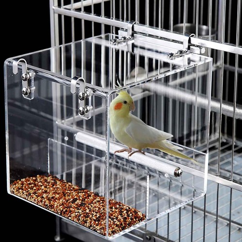 Mangiatoia automatica acrilica
