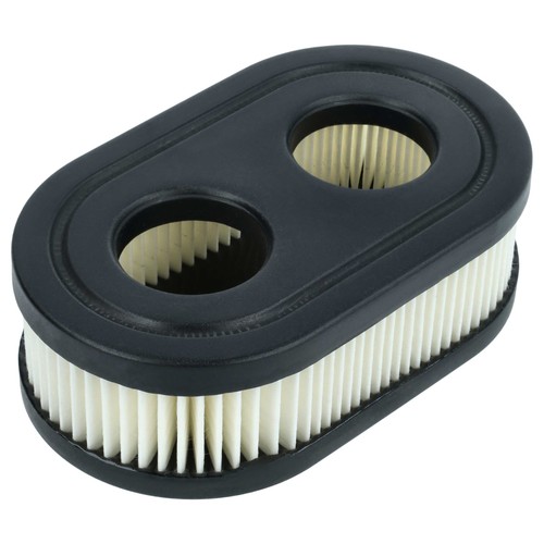 Filtro sostituisce briggs - filtro,
