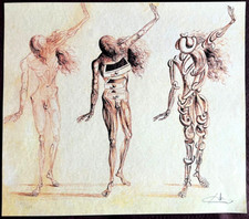 Salvador dalì litografia coa - dalì,