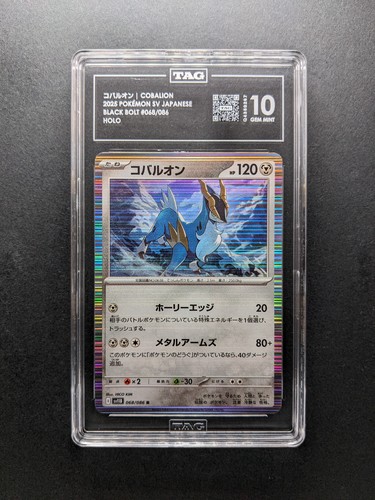 Tag 2025 pokemon cobalion - tag,