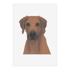 Stampe poster arte da parete