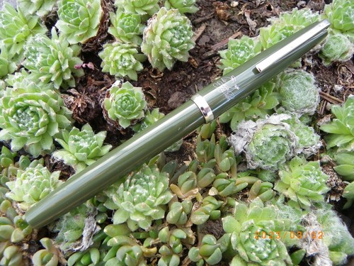 Stylo stypen vert plume - -,