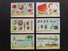 Caffè LAVAZZA Torino : Serie