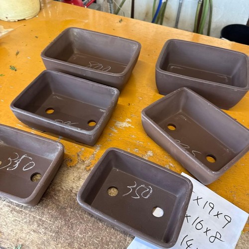 Vaso per bonsai giapponese
