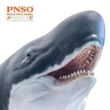 PNSO 2021 Requena il Livyatan