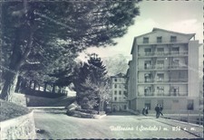 d306 - cartolina  provincia di sondrio - vallesana sondalo