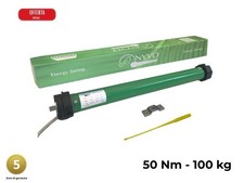 Motori per tapparella 100 kg 50 Nm Silenzioso MOTORE A RISPARMIO ENERGETICO