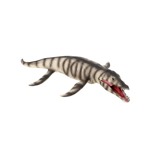 Modello dinosauro - modello,