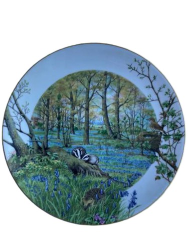Royal worcester piatto - royal,