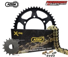 Kit catena e pignone X-Ring oro BMW G650 Xcountry 06-09 AFAM XRR