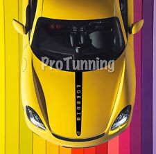 Striscia Adesiva Cofano