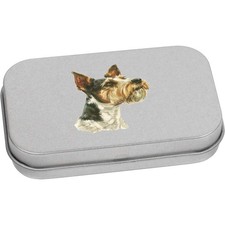 'Wire Fox Terrier Portrait'