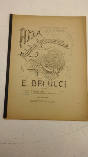 Antico mandolino musica 1900 - mandolino,