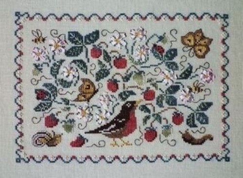 Strawberry plant bird - plant,
